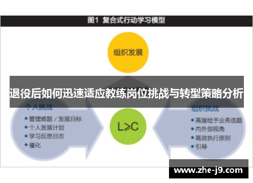 退役后如何迅速适应教练岗位挑战与转型策略分析