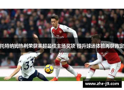 托特纳姆热刺荣获英超最佳主场奖项 提升球迷体验再获肯定