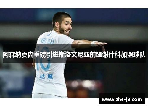 阿森纳夏窗重磅引进斯洛文尼亚前锋谢什科加盟球队