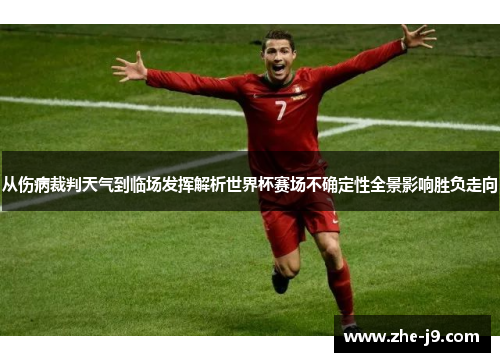 从伤病裁判天气到临场发挥解析世界杯赛场不确定性全景影响胜负走向